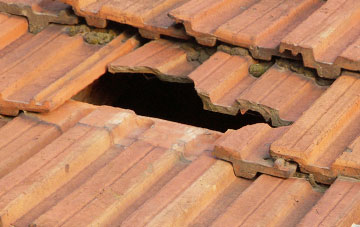 roof repair The Laches, Staffordshire